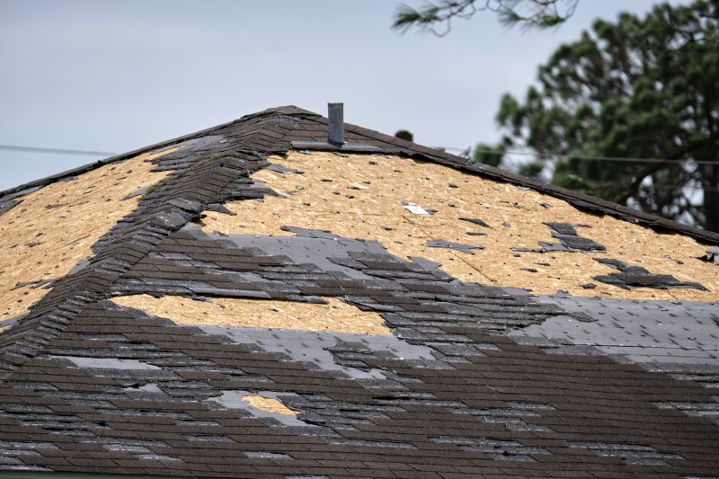 Repair of Damaged Shingles
