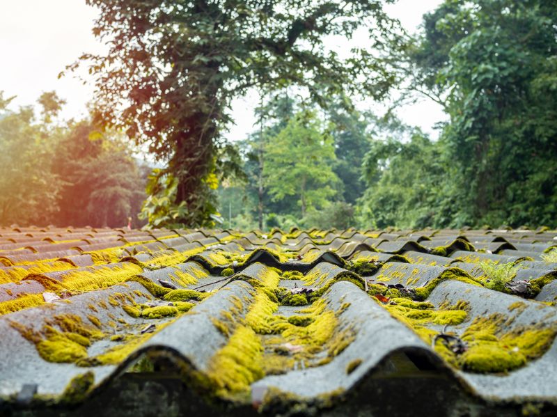 Eco-Friendly Roofing
